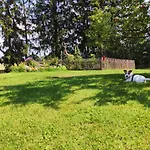 Villa Wyspa Swierkow
