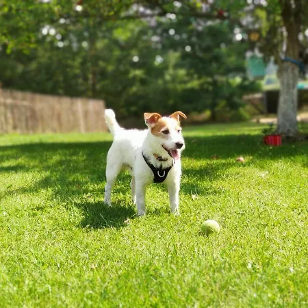 Villa Wyspa Swierkow Lipusz