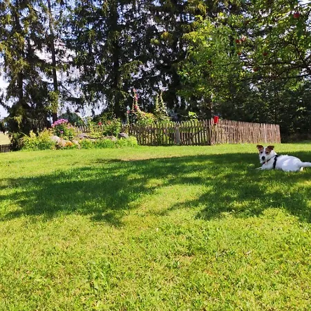 Villa Wyspa Swierkow