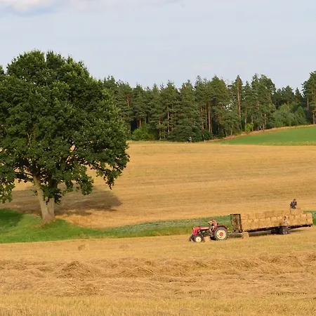 Wyspa Swierkow * Lipusz
