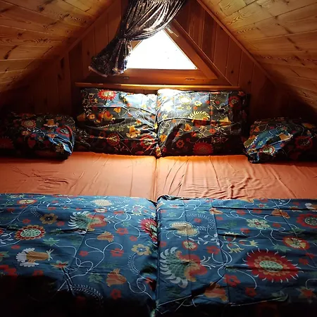 Vila Wyspa Swierkow *
