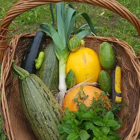 Wyspa Swierkow Villa Lipusz