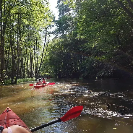 Wyspa Swierkow Lipusz