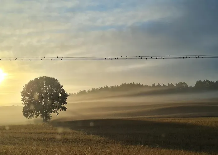 Wyspa Swierkow Villa *