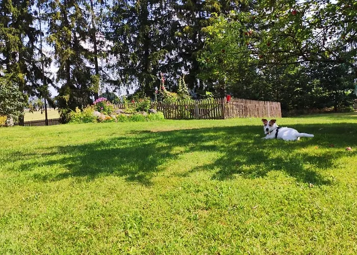 Villa Wyspa Swierkow