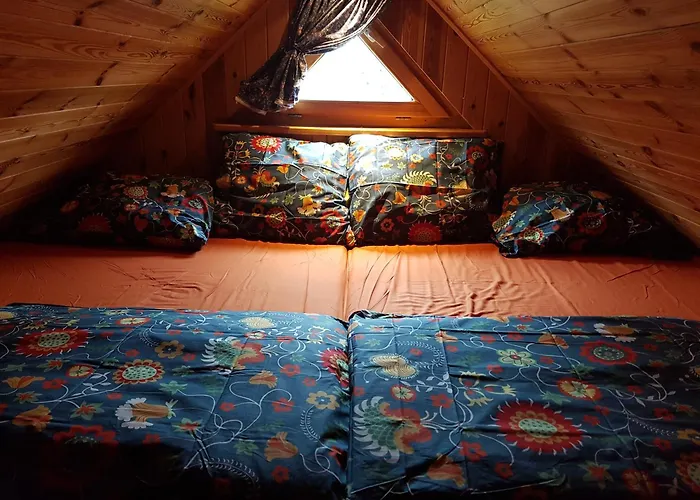 Villa Wyspa Swierkow *