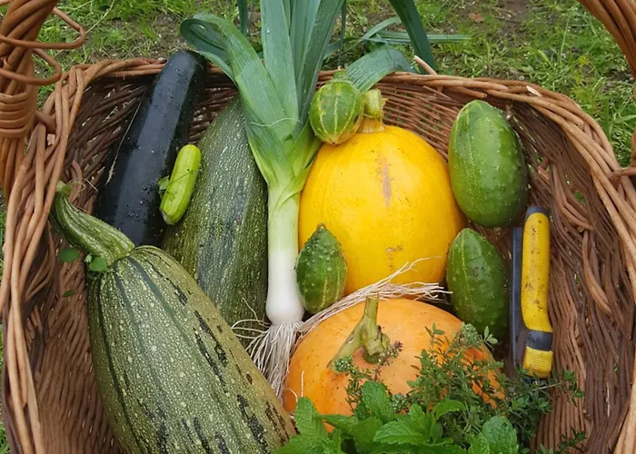 Wyspa Swierkow Villa Lipusz