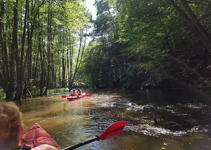 Wyspa Swierkow Lipusz